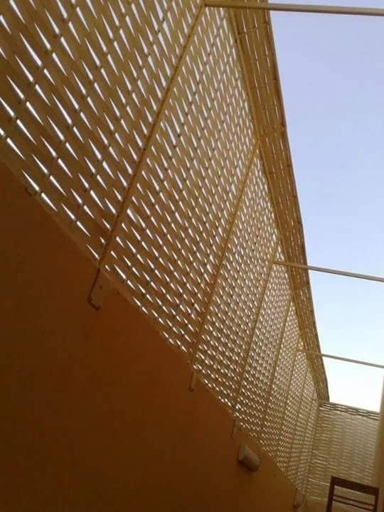 whatsapp image 2025 05 01 at 10.42.50 pm 1.jpeg